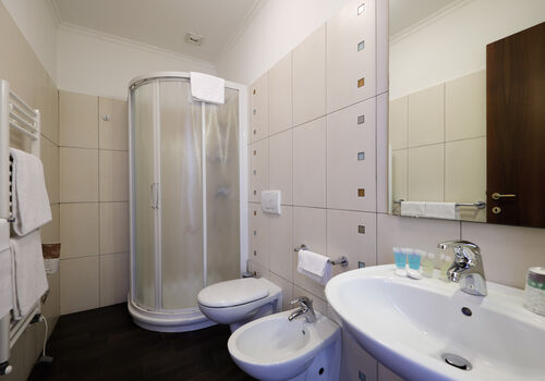 Bathroom in the double room, if without window